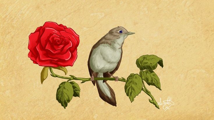 "Resûlullah canımızın çiçeğidir."