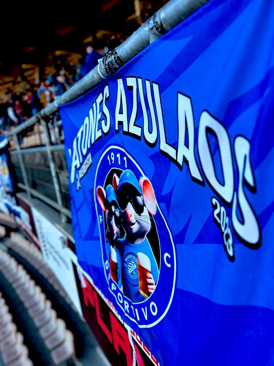 P.X.Ratones Azulaos tweet media