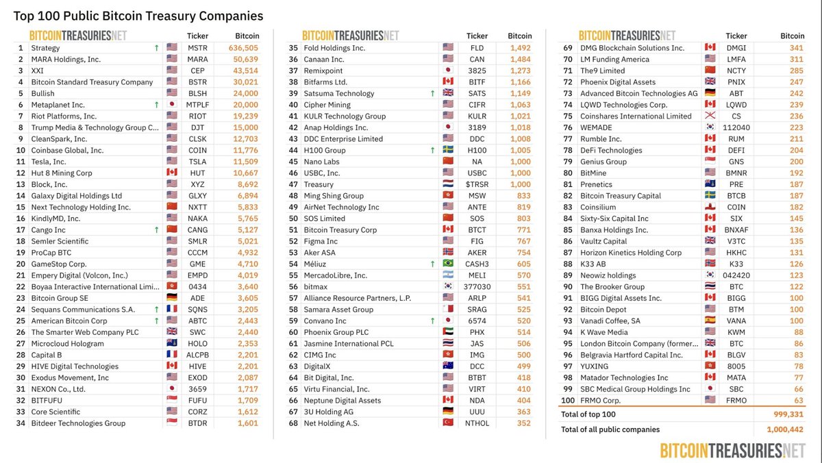 Top 100 Public Bitcoin Treasury Companies Chart