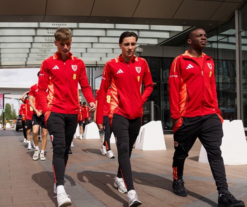 🏴󠁧󠁢󠁷󠁬󠁳󠁿🐦