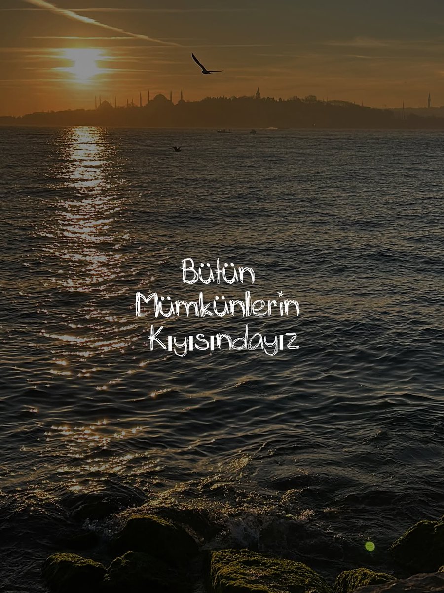 Mavera (@acz_mavera) on Twitter photo 