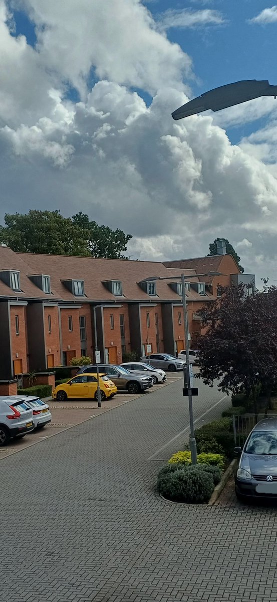 01kellythomas's tweet image. The 1st of a milliom dreams by the grace of God. 🩷🌹