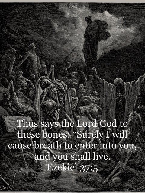 LeNay's tweet photo. Only God can do the impossible. God can restore and bring to life that which is dead. https://t.co/rZn9jcffw2