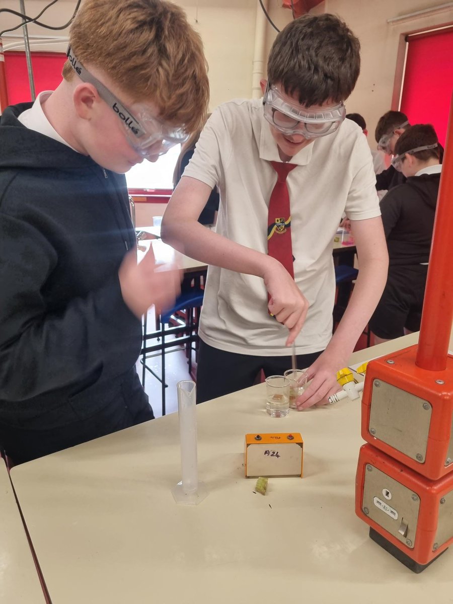 Lochgelly High School Science Faculty tweet media