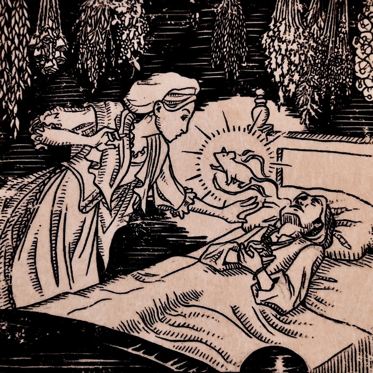 CaminoAquelarre's tweet photo. Este no es un manual new age sobre neopaganismo, sino un libro sobre mitología comparada, folklore histórico y cosmología tradicional. https://t.co/UeHeMQYFeR
