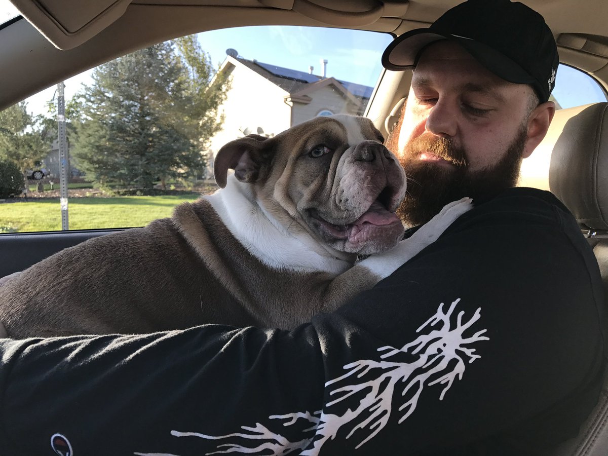 OhitsTeddy tweet media
