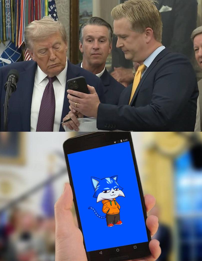 "Quick look, this cat, it's so blueeeee"