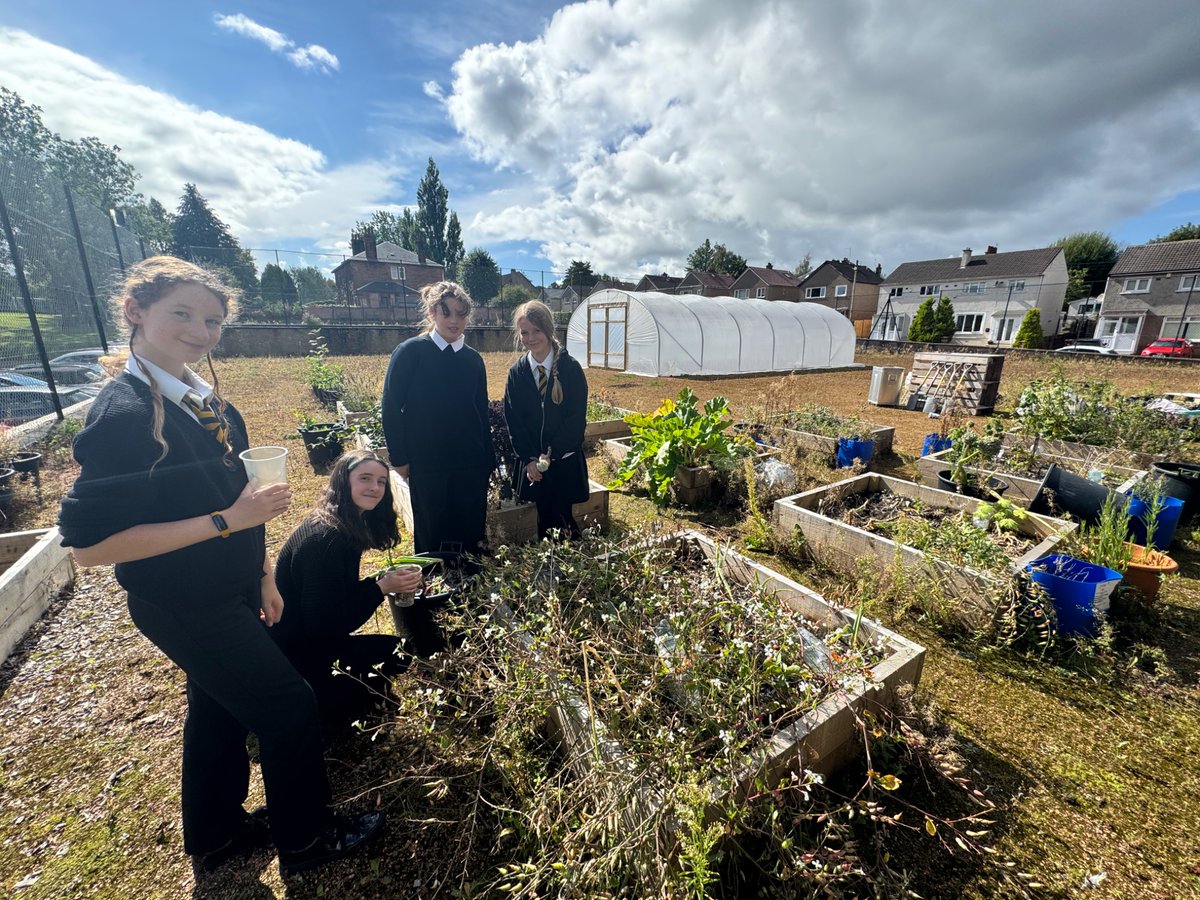 Bellahouston Academy est. 1876 tweet media