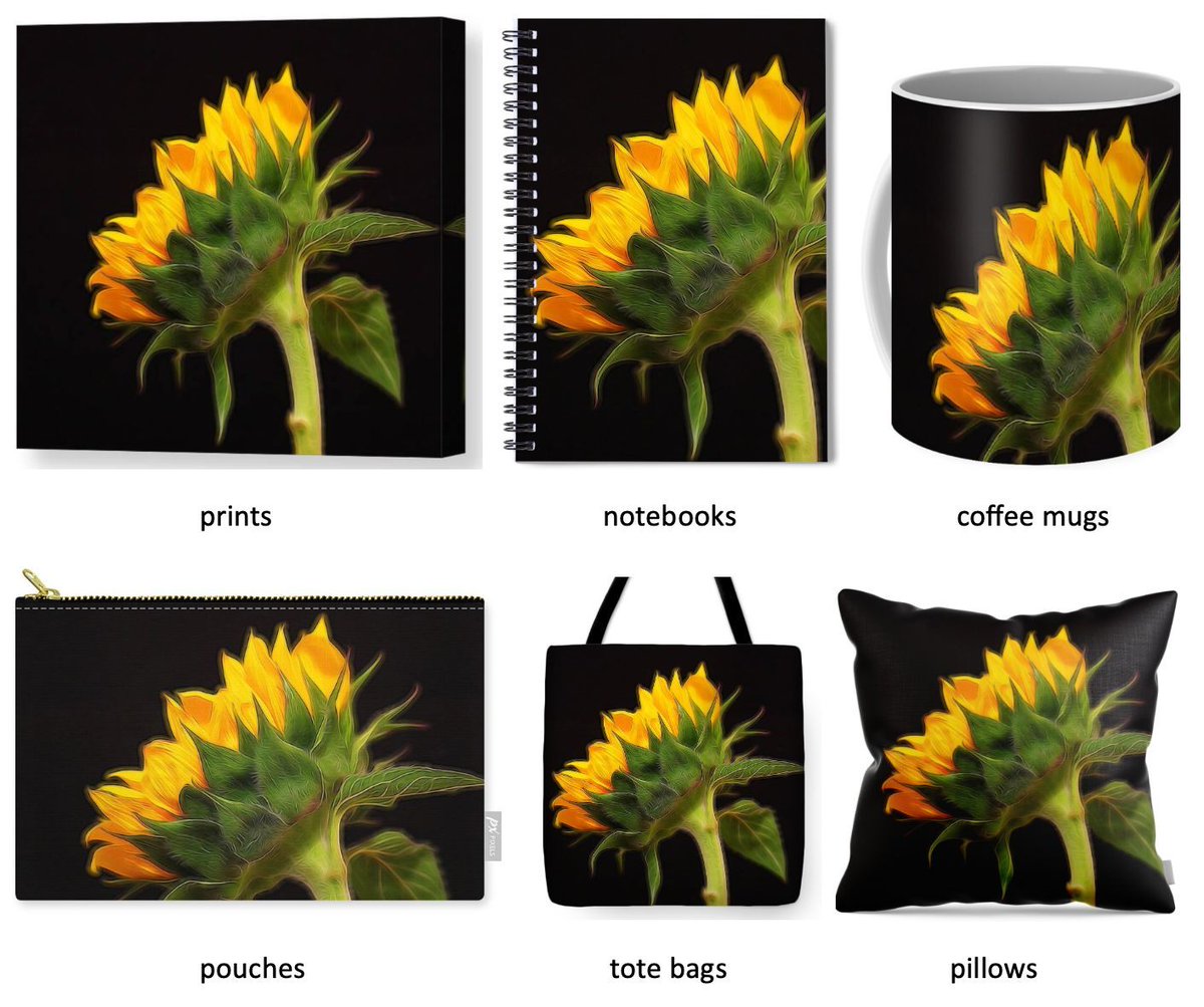 JudyVincent74's tweet image. Golden Glow #Sunflower Available as #WallArt or on many products including #notebooks #coffee mugs #pouches #ToteBags #pillows Great #giftideas #BuyIntoArt #JudyVincentPhotography 
See all products here ---&amp;gt; buff.ly/fiCyxyX