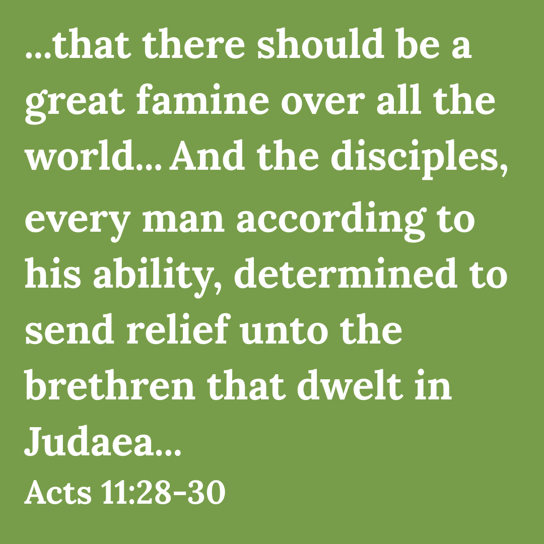 Peace Dominicans tweet media