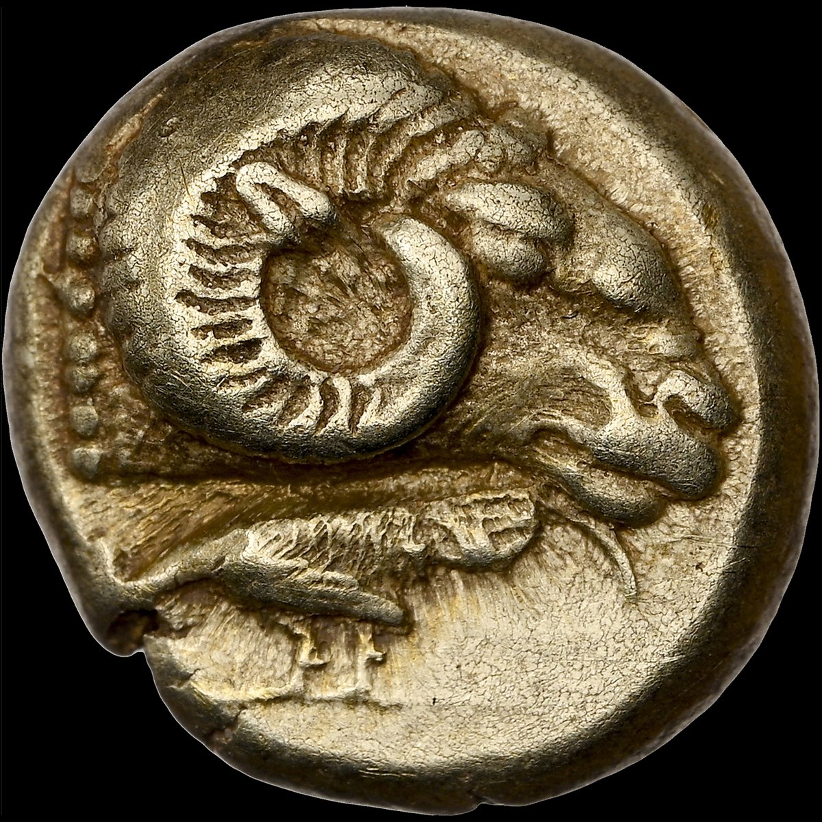 NGCcoin's tweet photo. Coin of the Day: For #ThrowbackThursday, here’s a Lesbos, Mytilene c.521-478 B.C. electrum hecte showing a ram and rooster on the obverse and a lion on the reverse. You can find this coin in a Heritage Auctions sale this fall: https://t.co/iqJIxuyQpB #mytilene #hecte #ancientcoin https://t.co/n1jedtYXQA