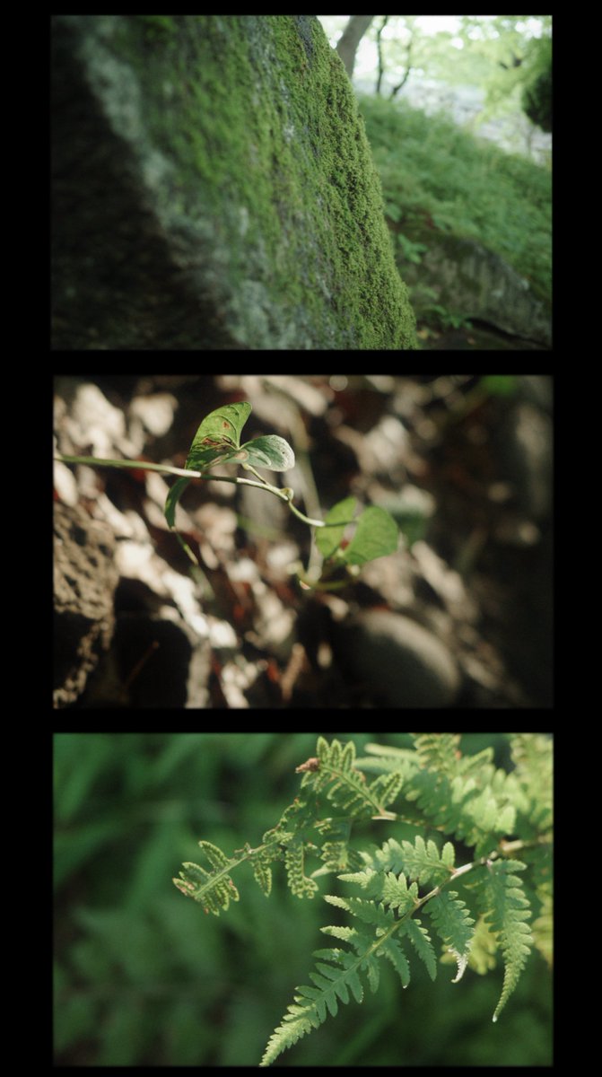 ありんこ (@_taru_tata) on Twitter photo 