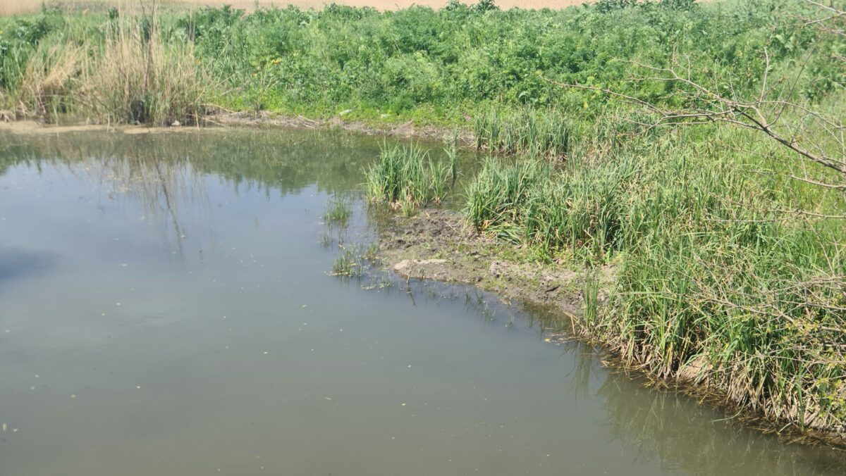 👉 Fenacore pide la incorporación a la Ley de Aguas de nuevos principios rectores relacionados con la seguridad hídrica y la inversión en infraestructuras para mitigar los riesgos de sequía e inundaciones.
feragua.com/lavozdelregadi…