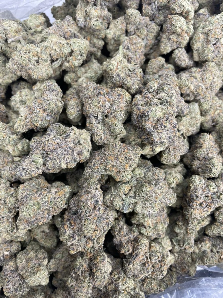 Cloud9Collect42's tweet photo. SHERB RUNTZ ⛽️ 

Menu below 

Telegram : https://t.co/KDg0A46FQg

Linktree: https://t.co/yAWgQsynQz

#HighSociety #KushLife #WeedNation #StonerMood #BluntLife https://t.co/7LJLV1LCLT
