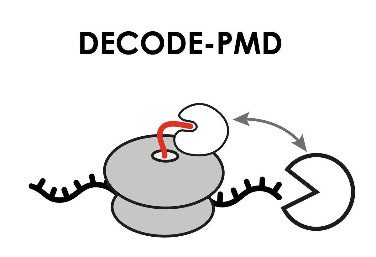 Markus Höpfler tweet media