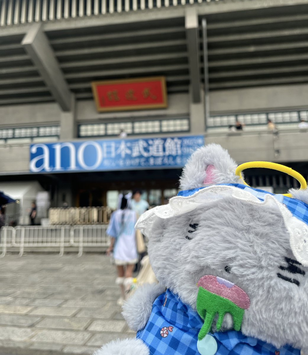 nanatubus's tweet photo. 久しぶりの投稿でありますが、すごい推し活ツイートですごりぃ…今までこれと言って推しなるものはいなかったけどもこんなに長く尊く推せているあのちゃんのついに武道館ライブ…感無量でした😭情緒可笑しくなるくらい笑ったり泣いたり泣いたり泣いたり！生きててよかったと思えるライブでした尊い。 https://t.co/h6HbVxObpO