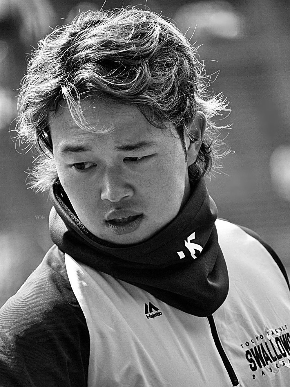 東京ヤクルトスワローズ　濱田太貴  プロ初本塁打記念直筆サインフォト　No. 1 濱田太貴プロ初ホームラン記念グッズ」受注販売のお知らせ
