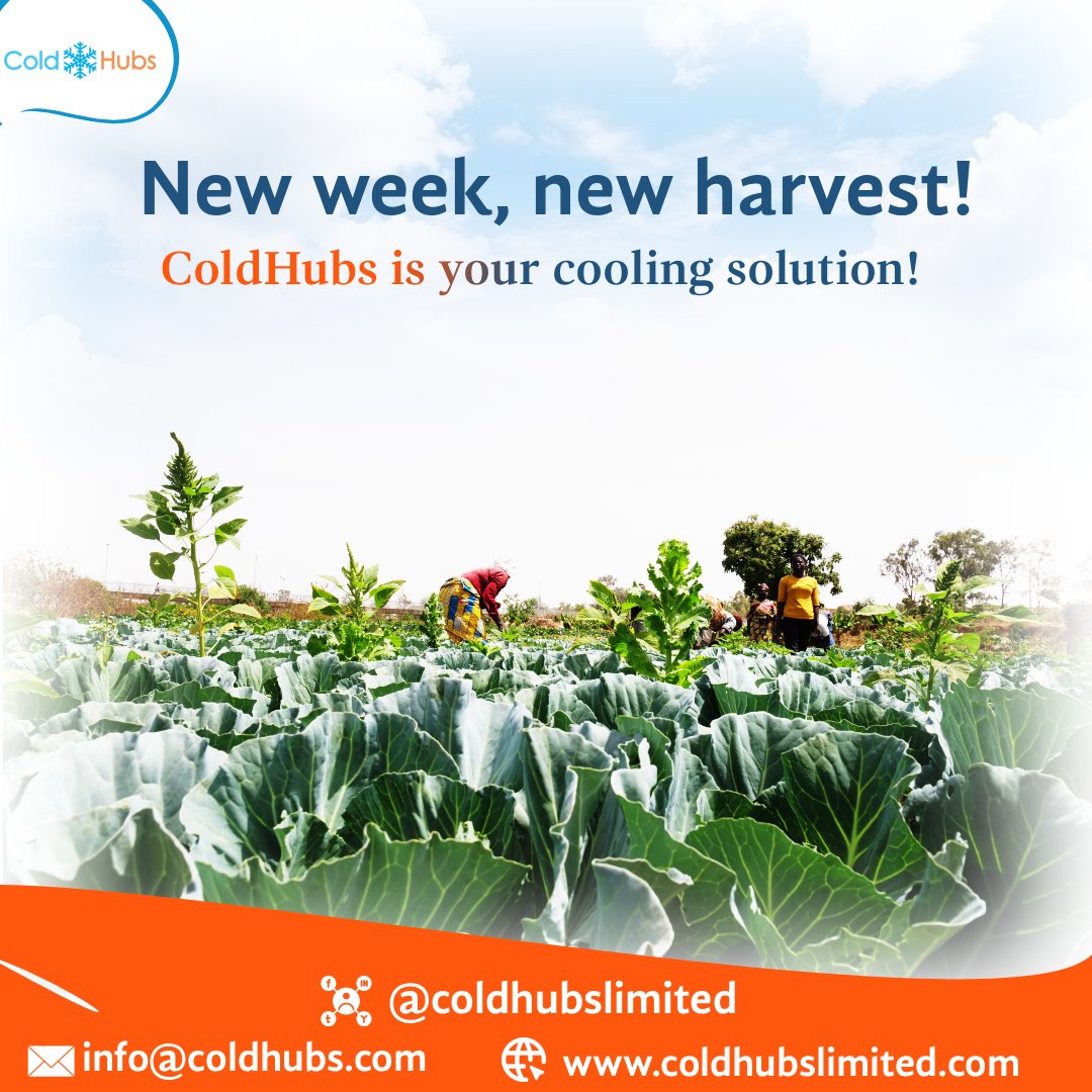 Choose wisely this week and choose ColdHubs for your cooling solution!