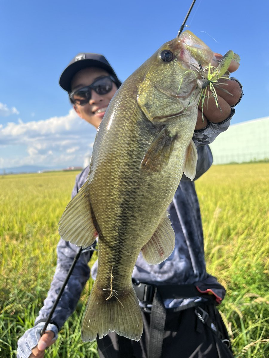JACKALL BASS FISHING (@JACKALL_Inc) / X