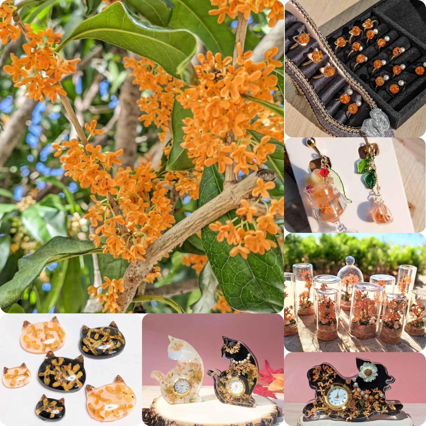 まみ@オンライン販売頑張ります (@913asami) / X