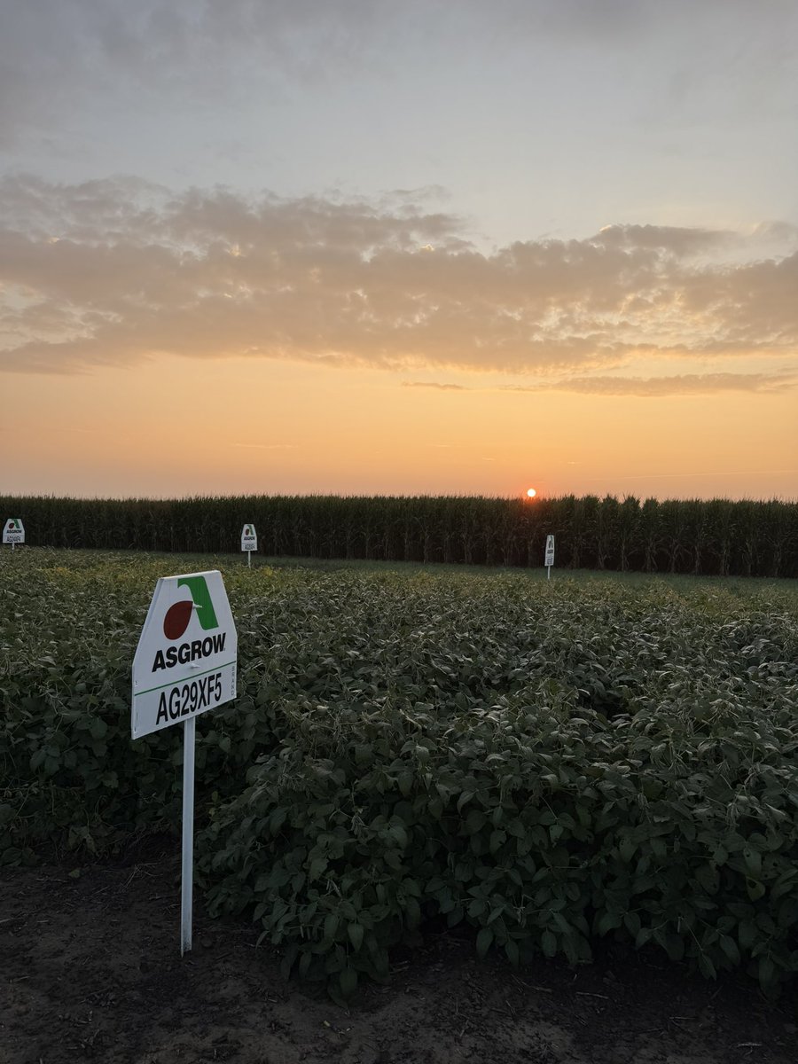 Nothing like a sunrise over the training site to remind us why we do what we do.
#Asgrow 
#XtendFlex