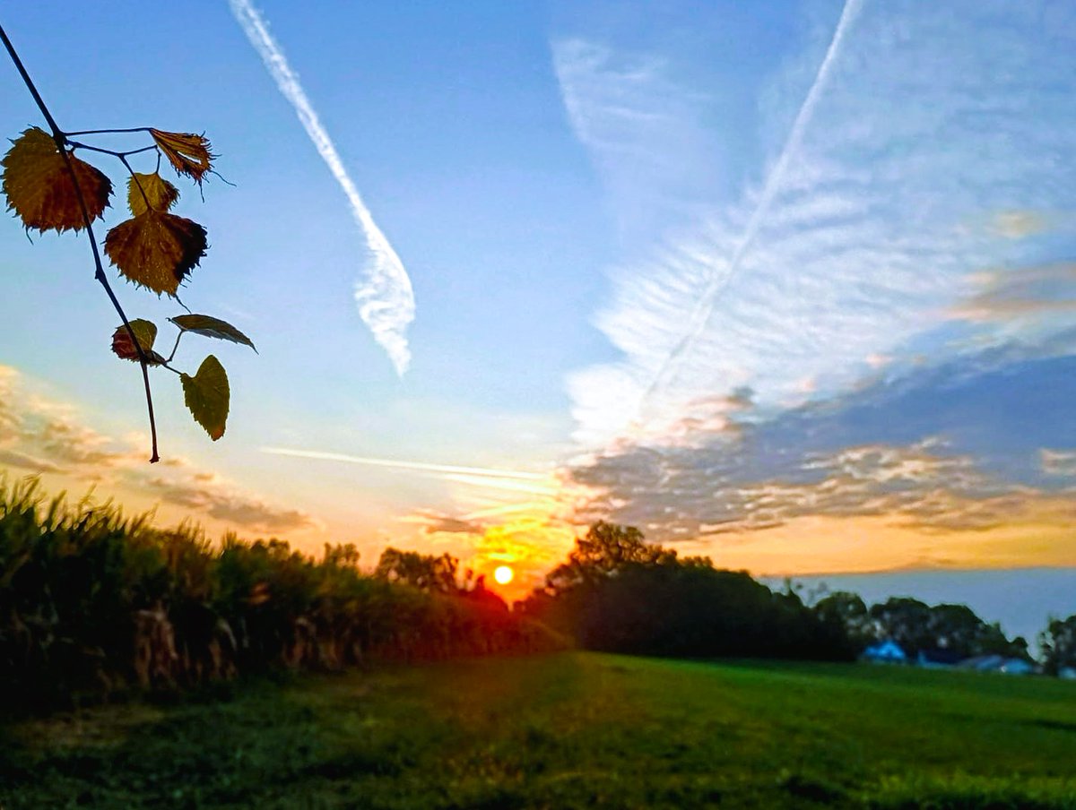 Sunrise over the fields along Honey Creek in rural North Prairieton ... It's Thursday, Hauteans. #thursdaymorning #sunrise #sunrisephotography
