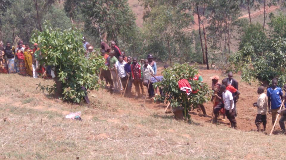 CnddFddButanyer's tweet image. #Kayanza 04/09/2025
Ubuserukizi bw'umuhari w'imbonerakure muri komine #Kayanza,bazindutse muri zone #Kabuye mubikorwa bidasnzwe vyogutera igitara c'umurima w'amavoka kinini cane muntumbero yokugwiza umwimbu w'ivoka muntumbero yogushitsa ya Mbonokazoza ya 2040-2060