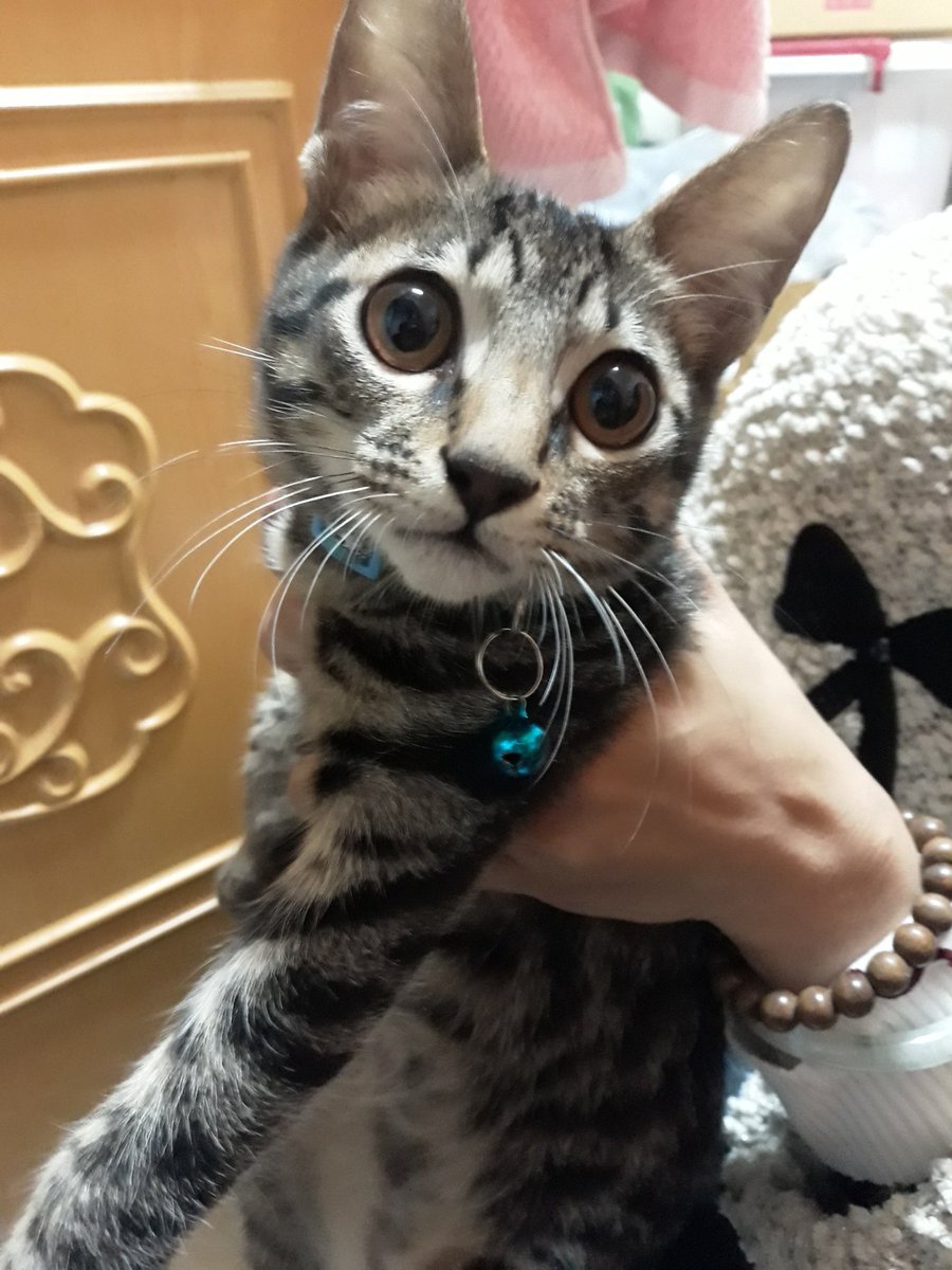 ✵⛓♦伊藤ちなみ🧁.*･ﾟ🎤🍋💎💫☁️🍊♍️🍎🍆🥂🐰 tweet media