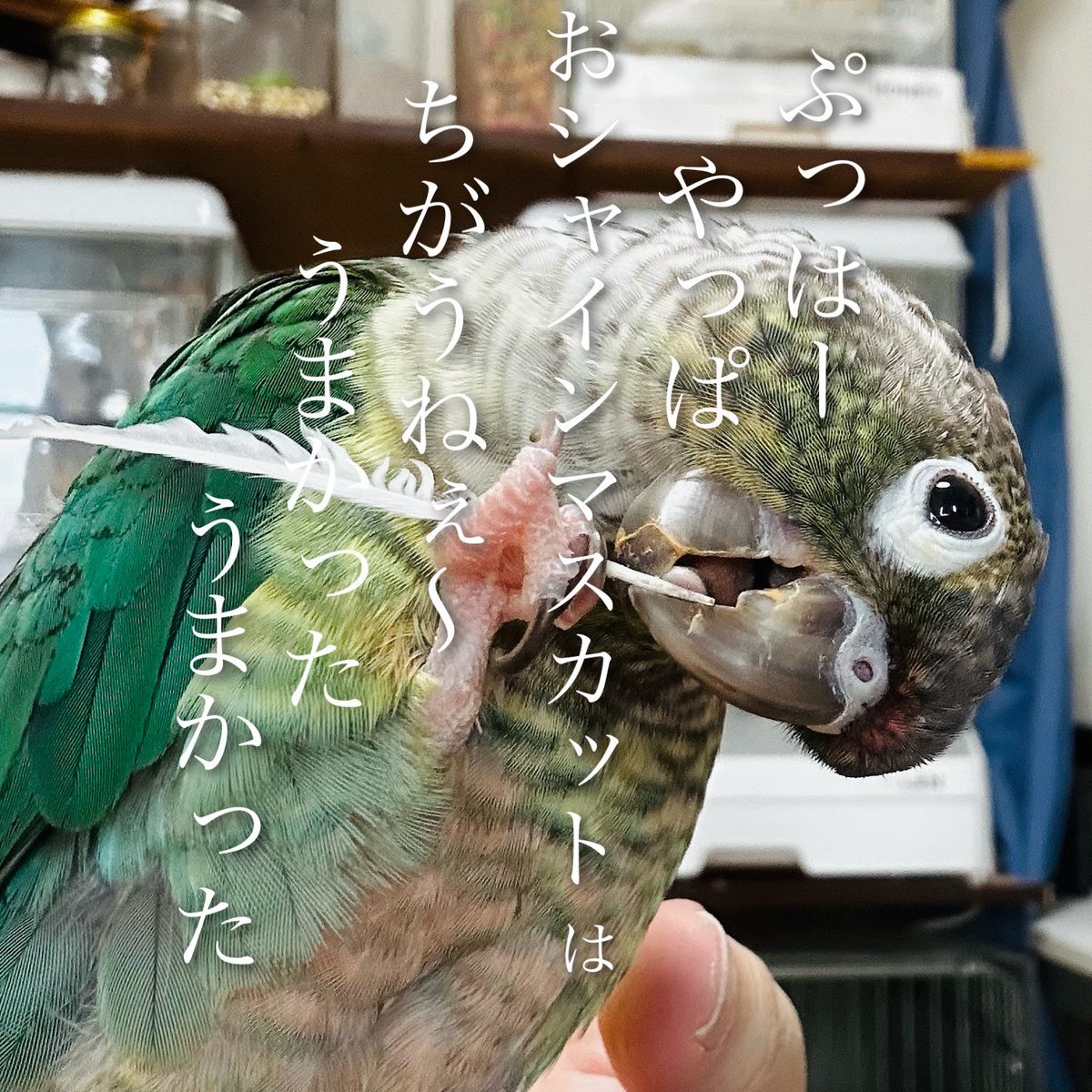 G0AImaFaoAAmjc2.jpg