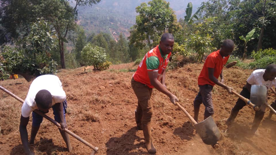 CnddFddButanyer's tweet image. #Kayanza 04/09/2025
Ubuserukizi bw'umuhari w'imbonerakure muri komine #Kayanza,bazindutse muri zone #Kabuye mubikorwa bidasnzwe vyogutera igitara c'umurima w'amavoka kinini cane muntumbero yokugwiza umwimbu w'ivoka muntumbero yogushitsa ya Mbonokazoza ya 2040-2060