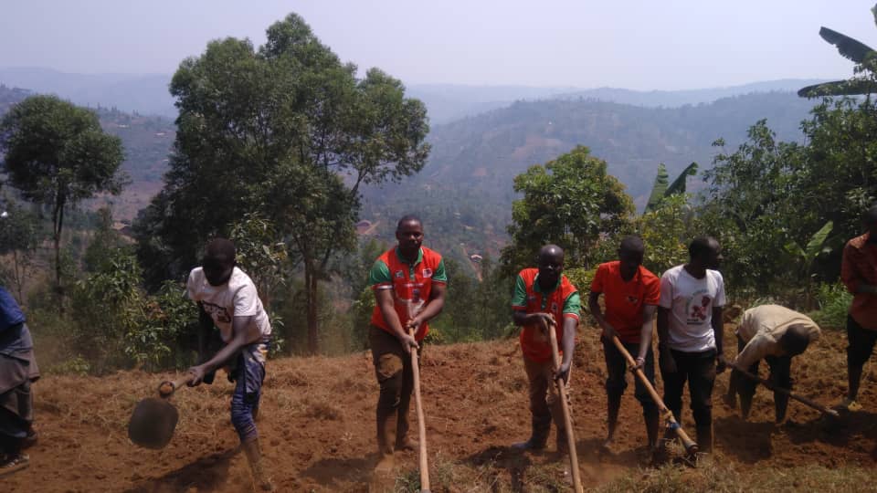 CnddFddButanyer's tweet image. #Kayanza 04/09/2025
Ubuserukizi bw'umuhari w'imbonerakure muri komine #Kayanza,bazindutse muri zone #Kabuye mubikorwa bidasnzwe vyogutera igitara c'umurima w'amavoka kinini cane muntumbero yokugwiza umwimbu w'ivoka muntumbero yogushitsa ya Mbonokazoza ya 2040-2060