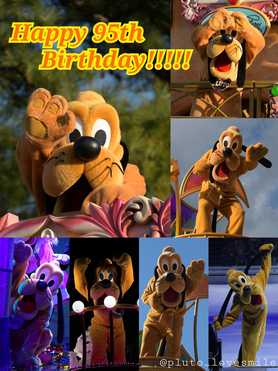 はるるんぱっぷ🐾 (@pluto_lovesmile) / Posts / X