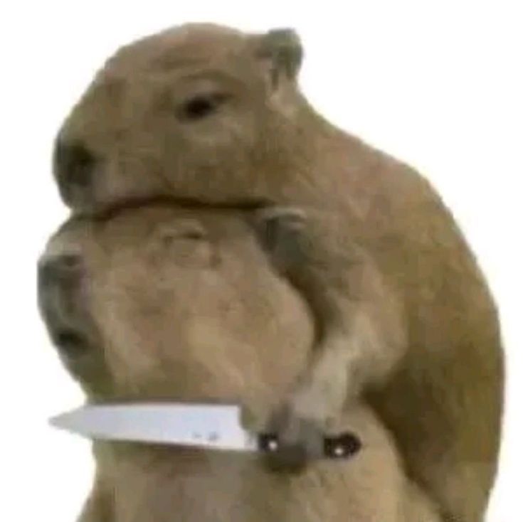 🥄ζ ARTHUR. tweet media