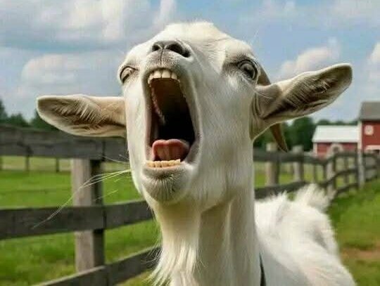 Mom: Call Ibrah for me
Me    : He's outside playing
Mom: Okay then wash the dishes..
Me    : Ibraaaaaaaaaaaaaaaa. 😅