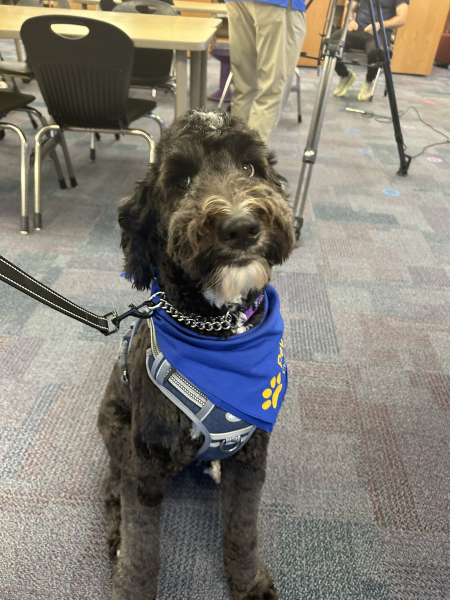 RachelRippKMBC's tweet image. I’m live this morning at #Chinn #Elementary 📚📓🚌✏️ talking about their brand new facility dog, Pepper! 🐕‍🦺🦴🐾@ParkHillSchools @kmbc