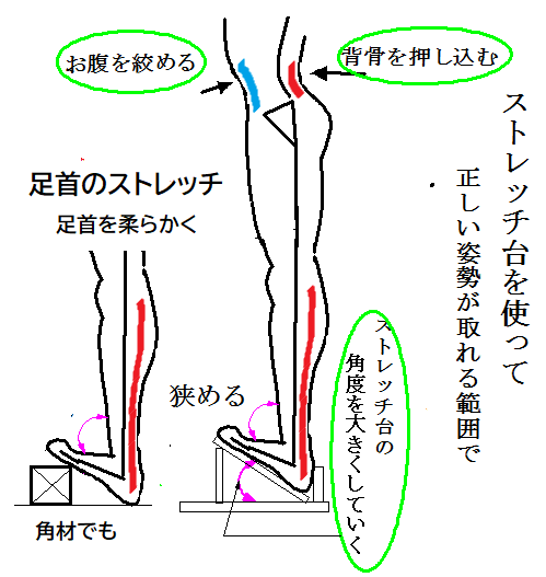 今までの歩くという概念を全く忘れることが大切です。一本足で立って倒れていく、これを左右の脚で交互に行えば今までの歩くと同じように身体を運べます。省エネで体に合った姿勢の良いスポーツの基本となる動きが身に付きます。HP：kinjijidance.jp　足首は最低２３度は必要です