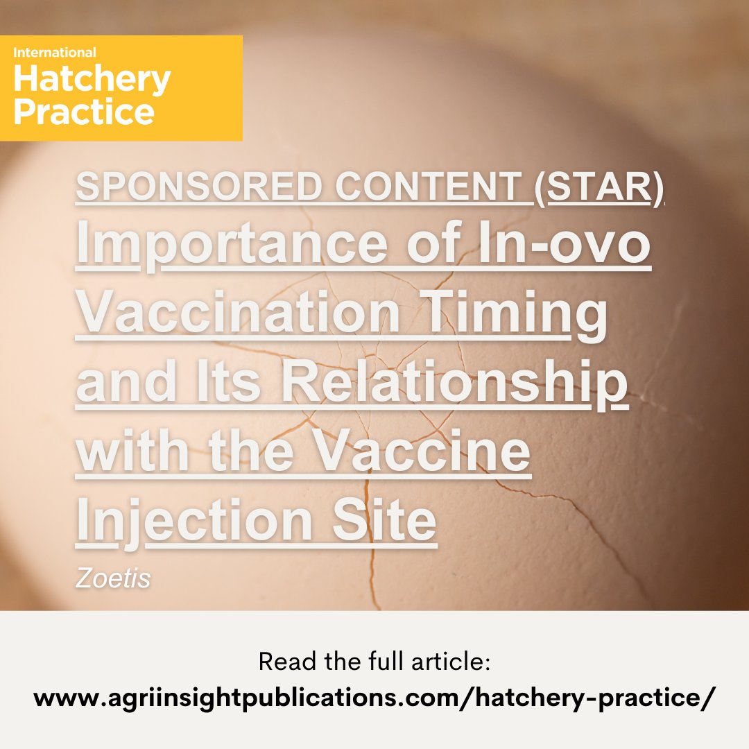 Getting in-ovo vaccination timing right is vital for accurate injection and healthy chicks. 

<a href="/Zoetis/">Zoetis</a> explores the link between timing and injection site in International Hatchery Practice (39.5): agriinsight.link/IHP_39_5_Zoetis

#inovovaccination #poultryhealth