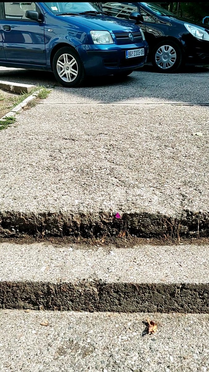 LazarevacWatch's tweet photo. @prijavi_problem GO Lazarevac, Ulica Veljka Vlahovića 34, na same stepenice kroz naselje naterani automobili i na prilazu stepenicama napravljen divlji parking. Kako proći tuda? https://t.co/cocvIuDTLi