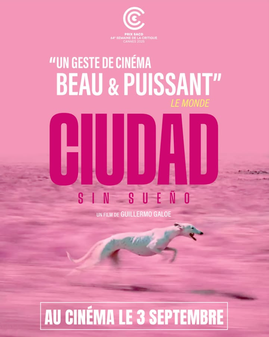 boxofficefr's tweet photo. Total 1er Jour France #CiudadSinSueño : 1.474 entrées sur 57 copies. Avant-premières : 147 entrées. Cumul : 1.621 entrées. cc #PanDistribution https://t.co/8zMjcpQasE
