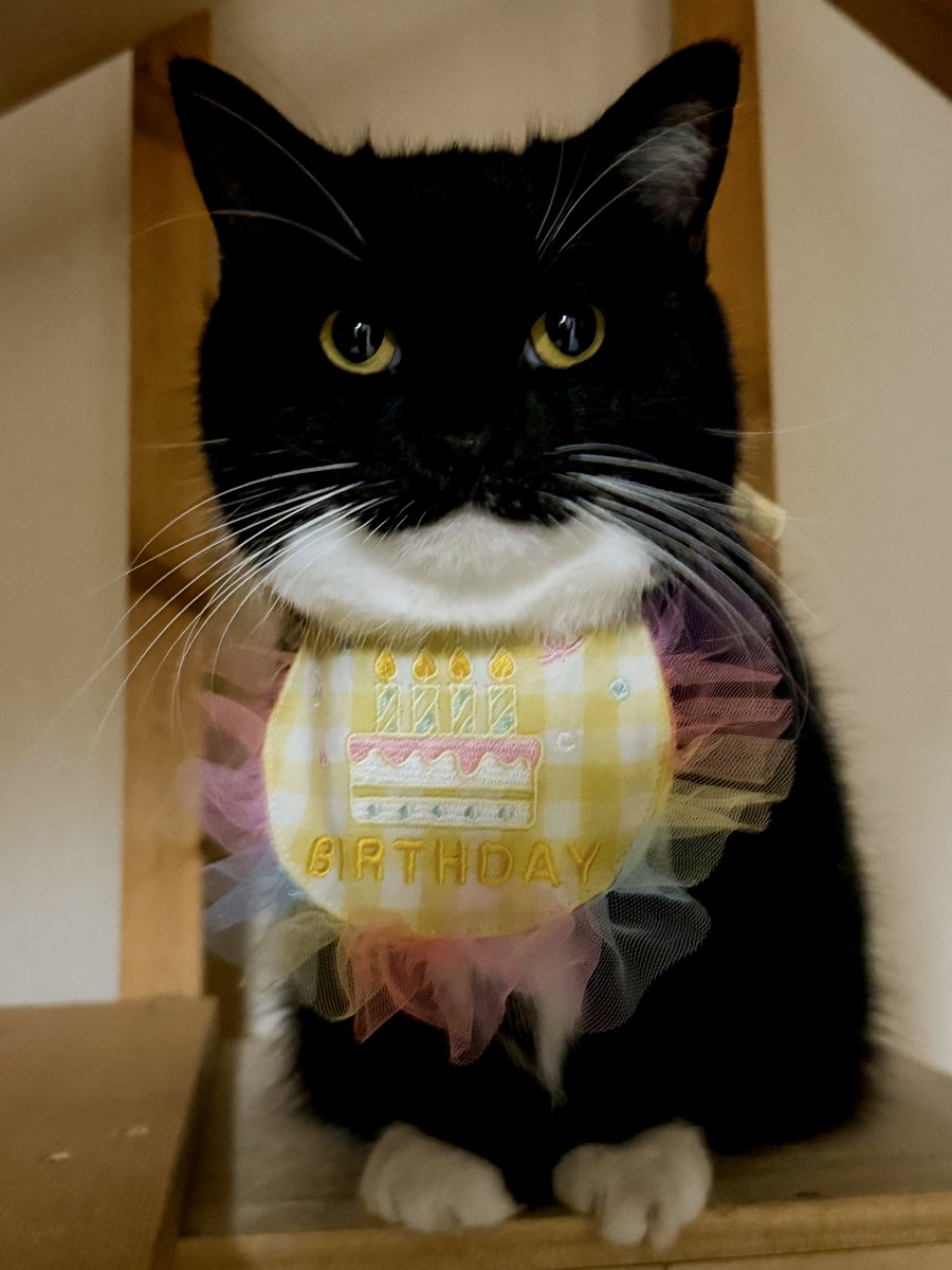 unicouniuni3's tweet image. Happy birthday!! From chicken boy :3