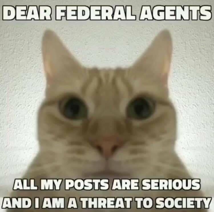 literallymecats's tweet photo. https://t.co/XcgsTAVfTO