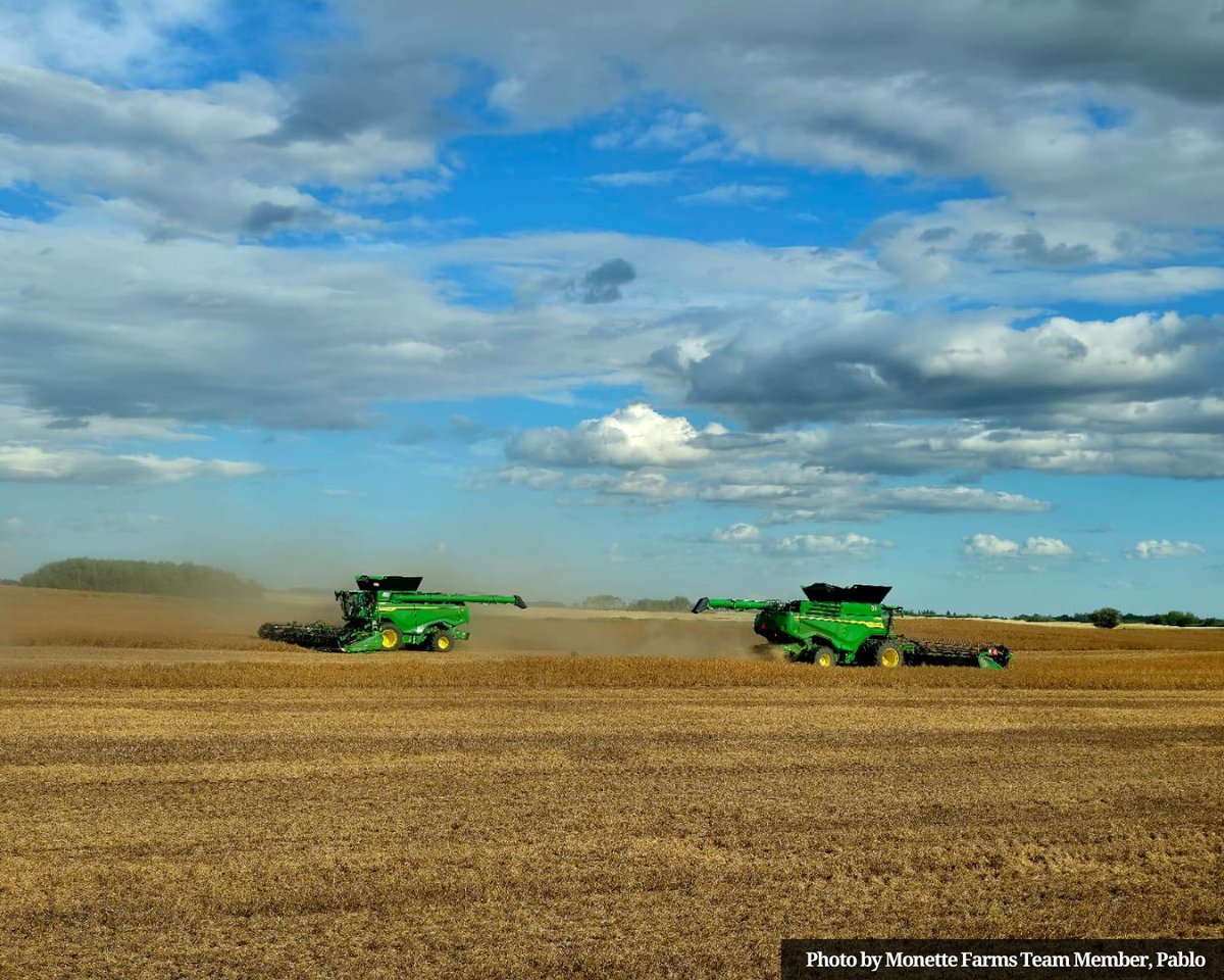 Harvesting with integrity, efficiency, and a vision toward a better future. Keep up the great work, team! 

#Harvest25 #FarmingPhotos #Sunset #CanadianAg #USAfarming