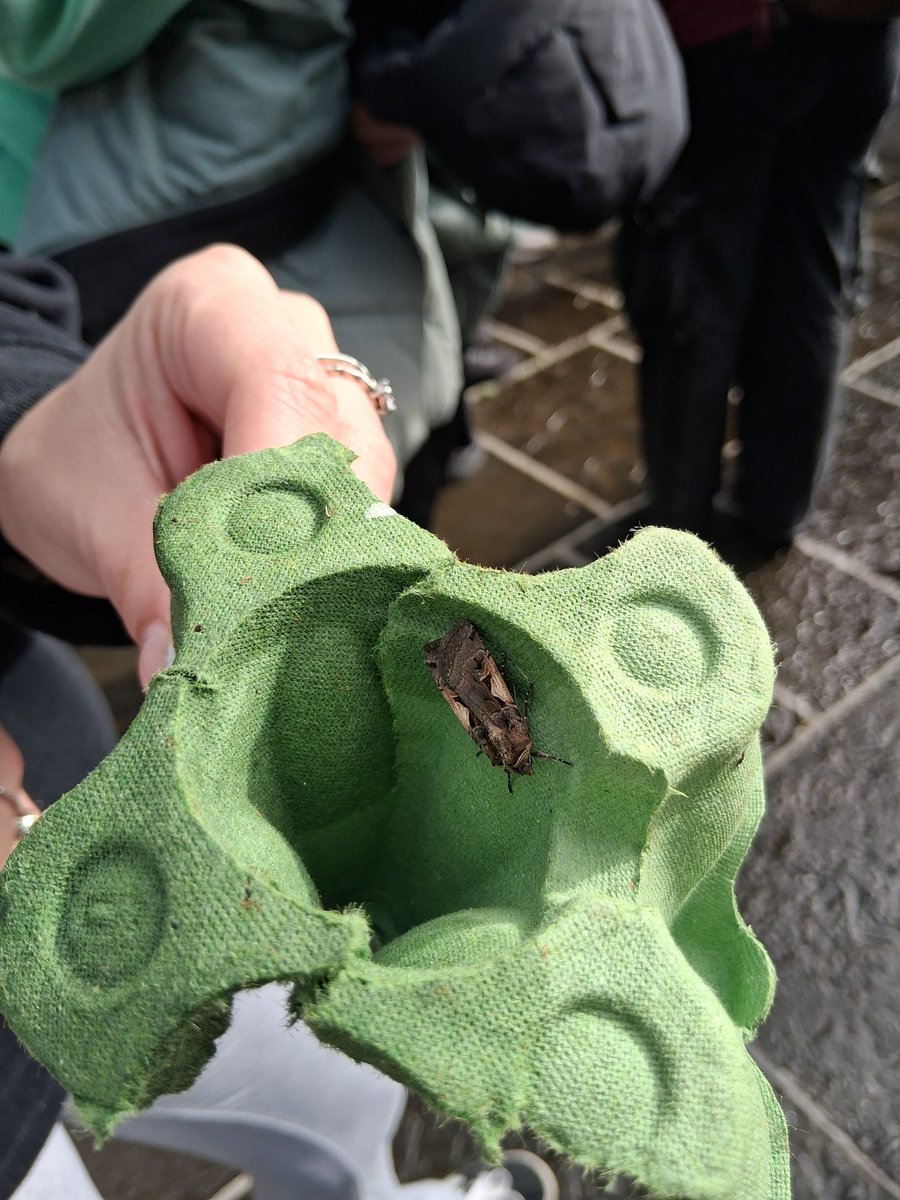 Ecology trip to Coole Park was excellent. Tired but happy ecologists