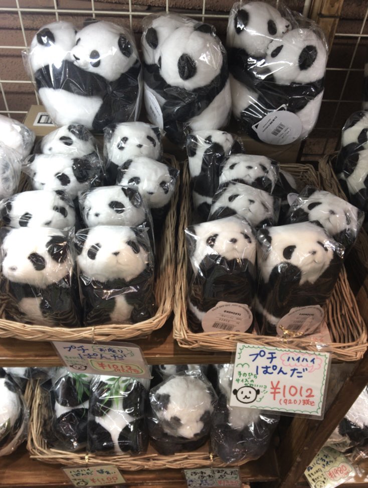 chxeis2's tweet photo. ˙˚ ꒰ঌ 🐼 ໒꒱˚˙ https://t.co/4AoNISrwED
