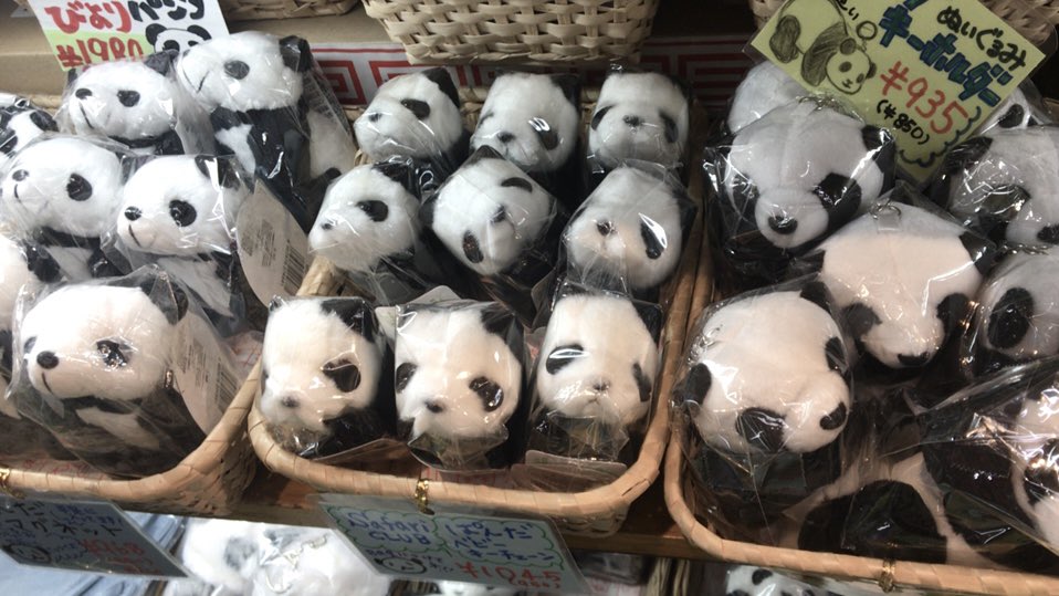 chxeis2's tweet photo. ˙˚ ꒰ঌ 🐼 ໒꒱˚˙ https://t.co/4AoNISrwED