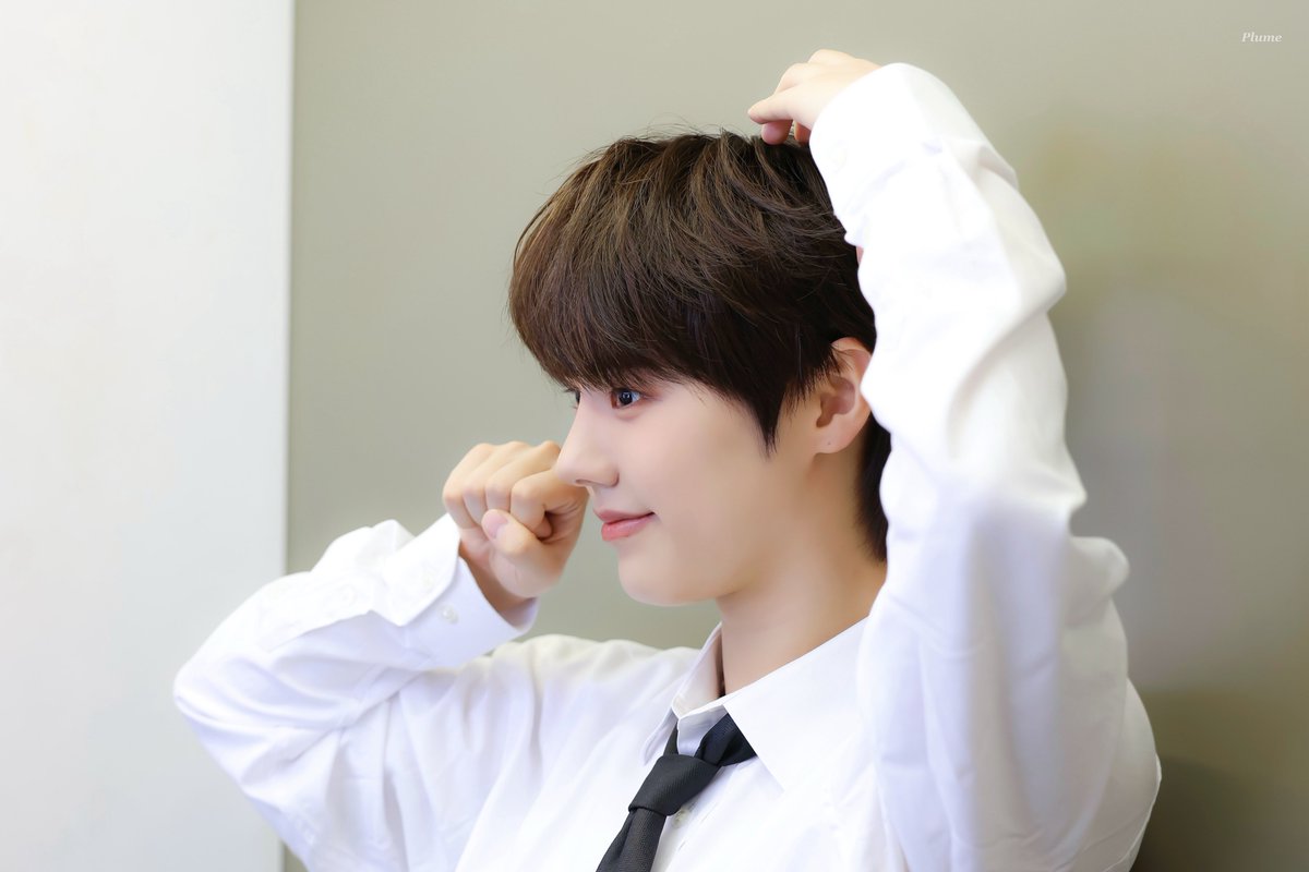 𝑷𝒍𝒖𝒎𝒆 ． tweet media