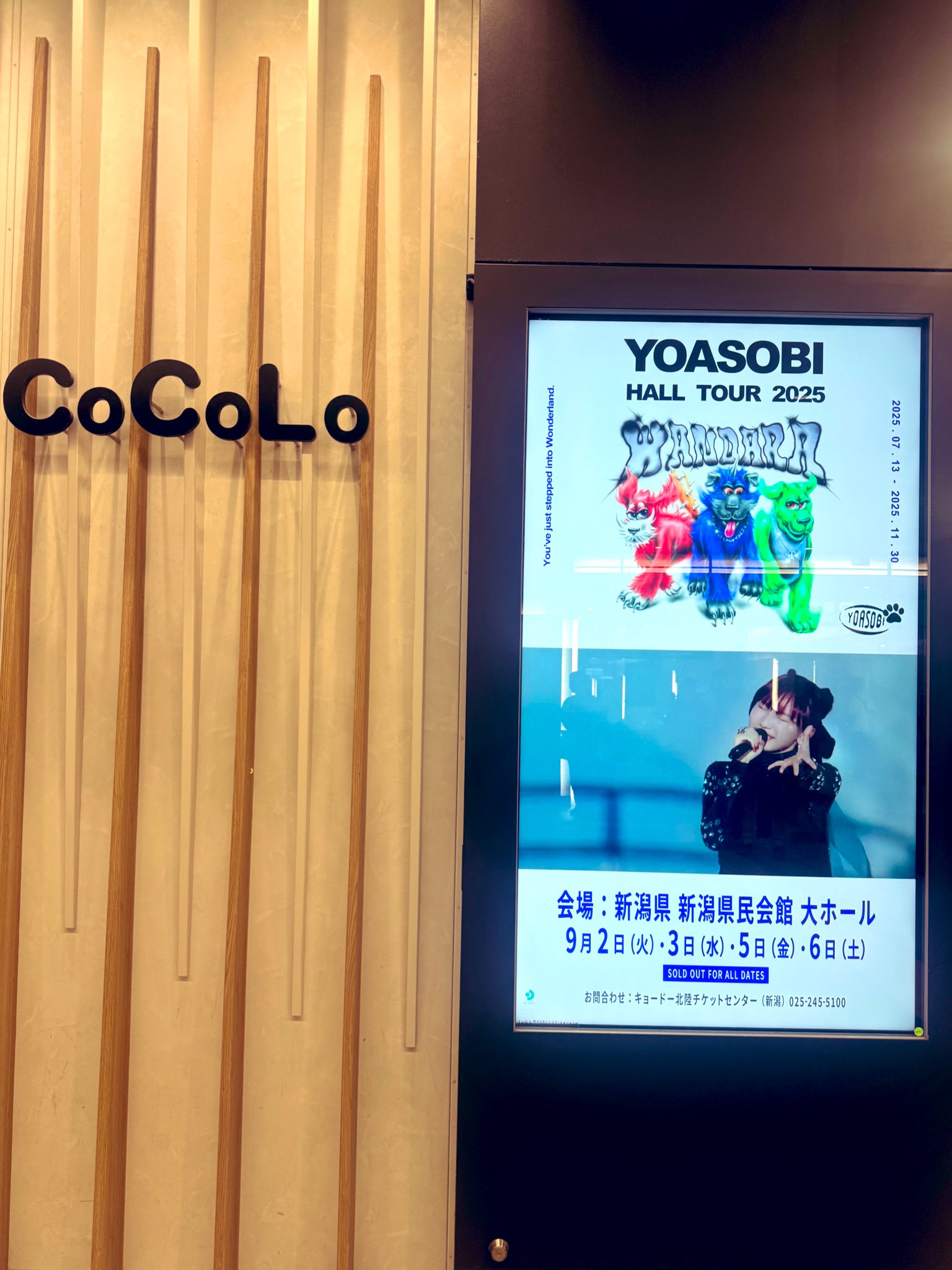 YOASOBI HALL TOUR 2025 WANDARA マグカップ セット YOASOBI WANDARA