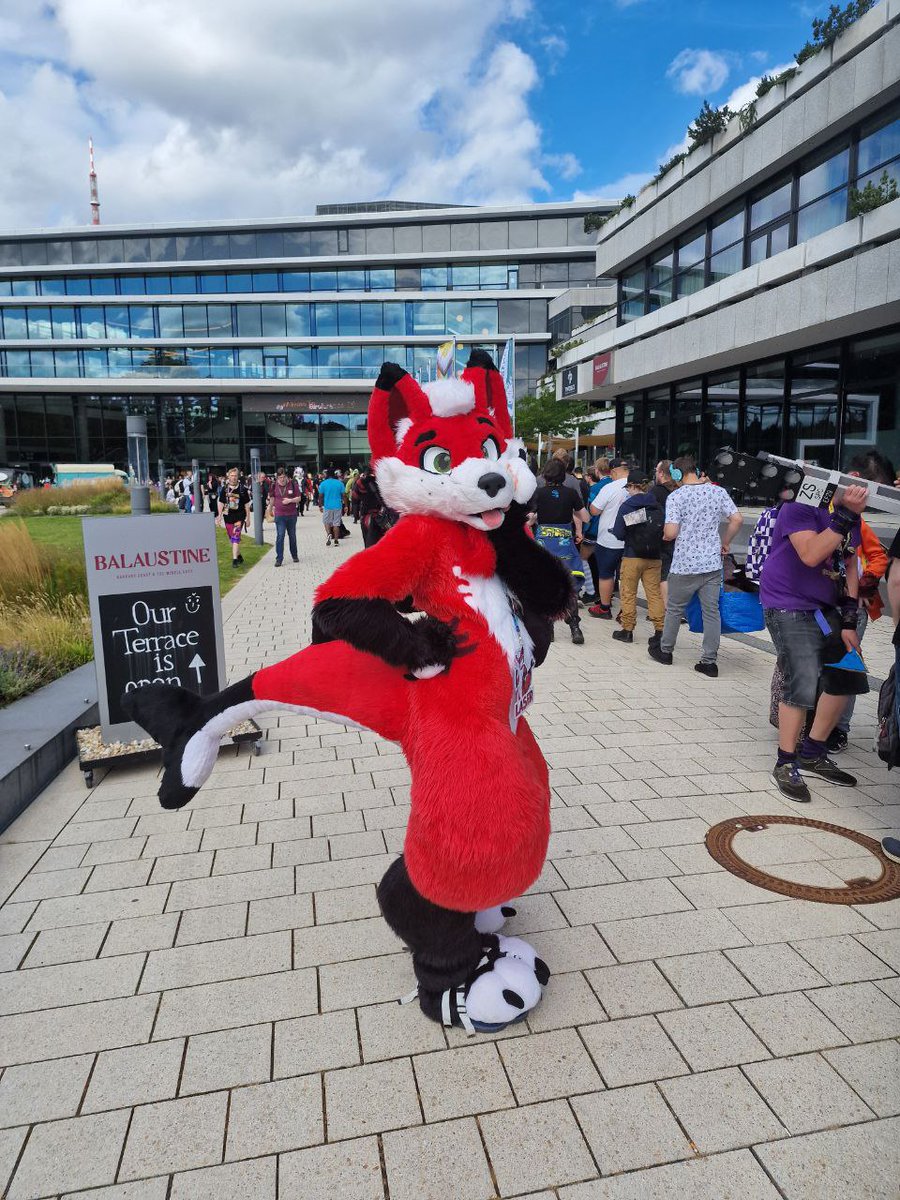 Laser the SharkFox tweet media