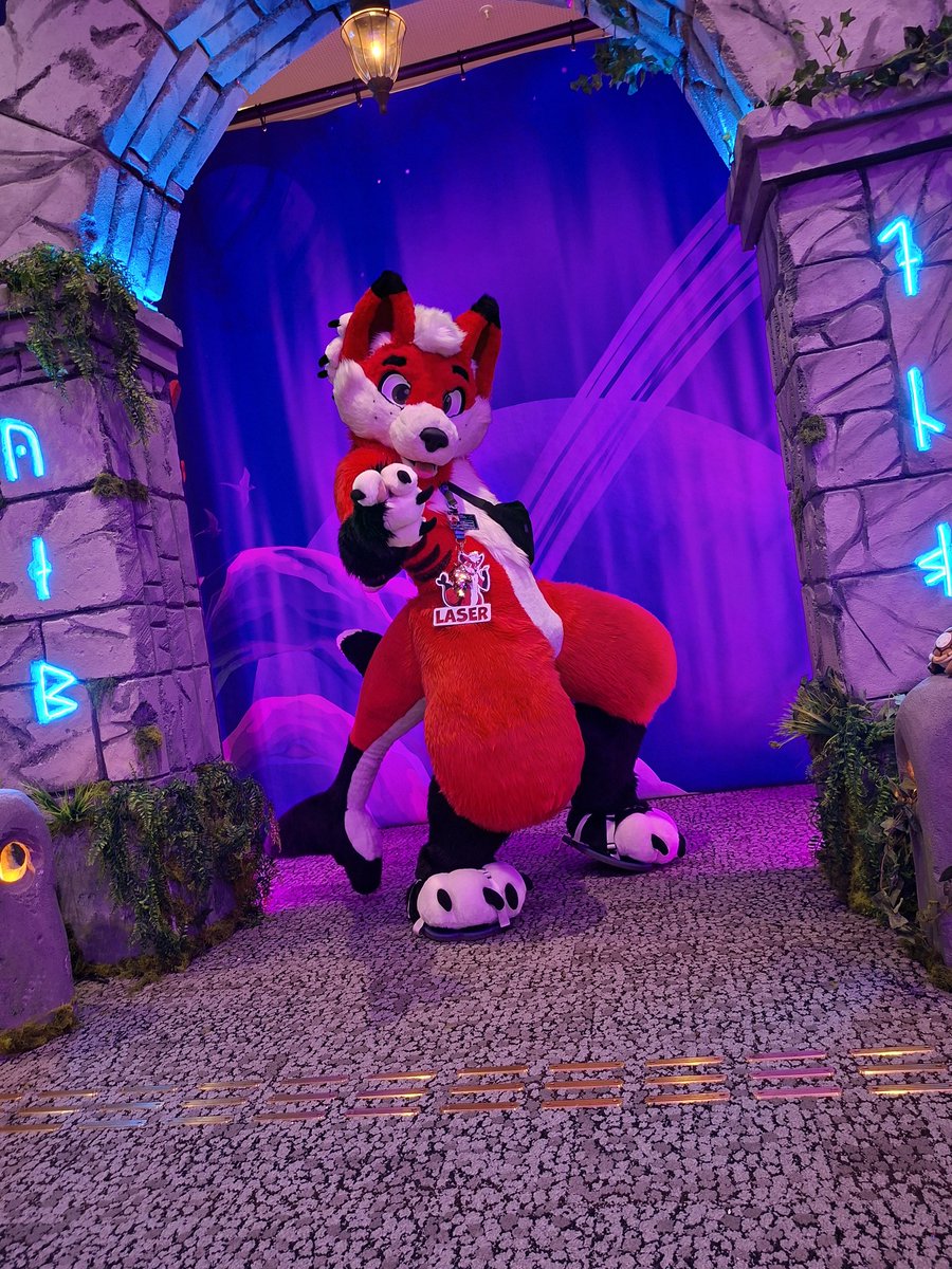 Laser the SharkFox tweet media