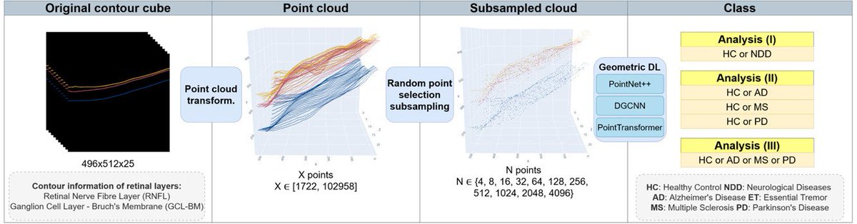 🗄️ En #accesoaberto no #RUC o recente artigo do <a href="/VarpaGroup/">VARPA Group</a>  "Automatic identification of neurodegenerative diseases with 3D point cloud-based analysis using geometric deep learning in OCT retinal images" 
hdl.handle.net/2183/45717